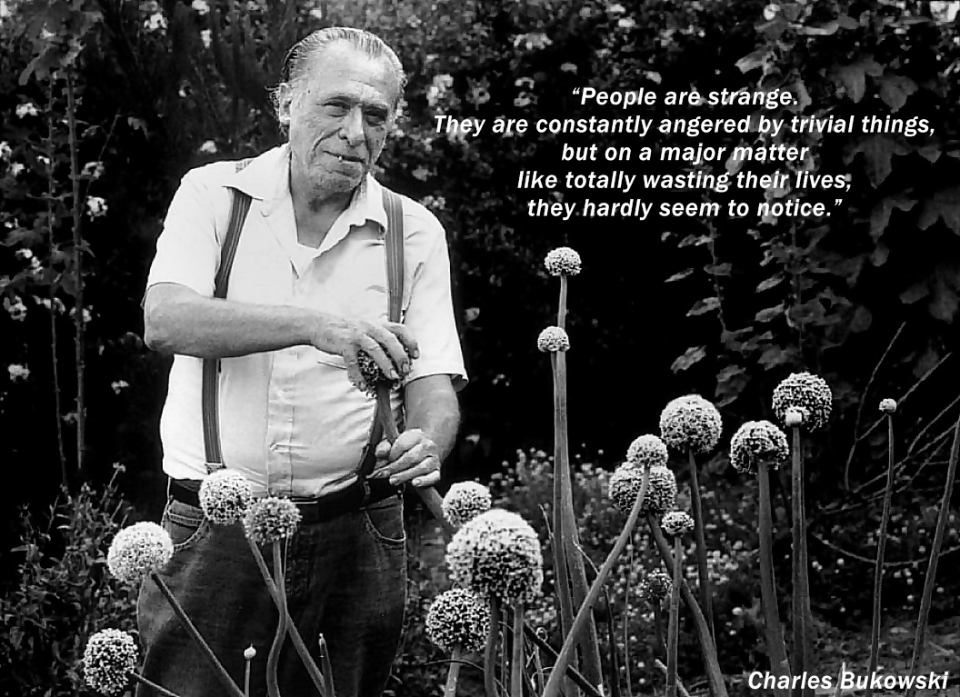 charles-bukowski-quote