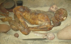 egyptian mummie ginger