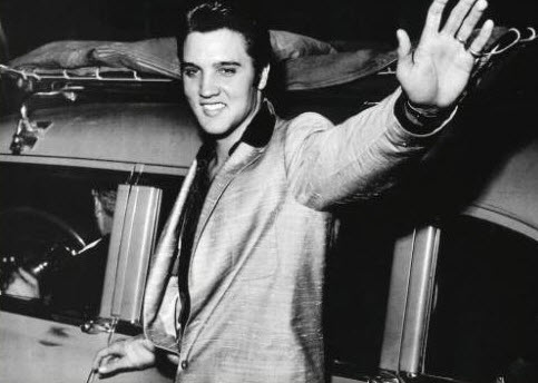 elvis leaves